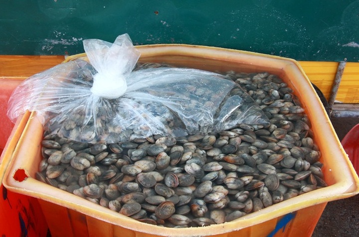 Sự thật về clip ngư dân đổ ngao hai cùi xuống biển do bị ép giá thê thảm - 2