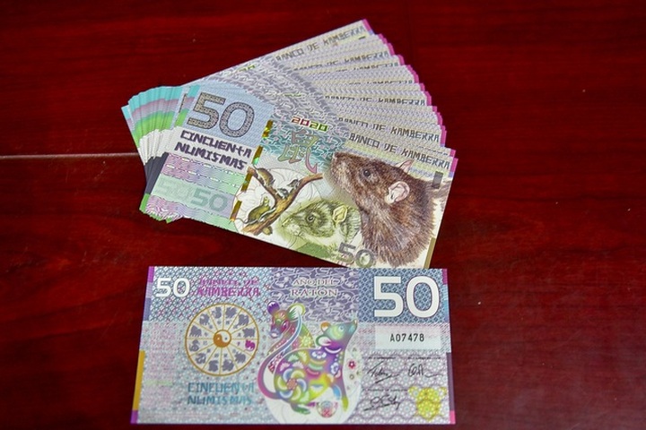 Tết Canh Tý: Khách chịu chơi, đua nhau đi săn tiền in hình con chuột - 5