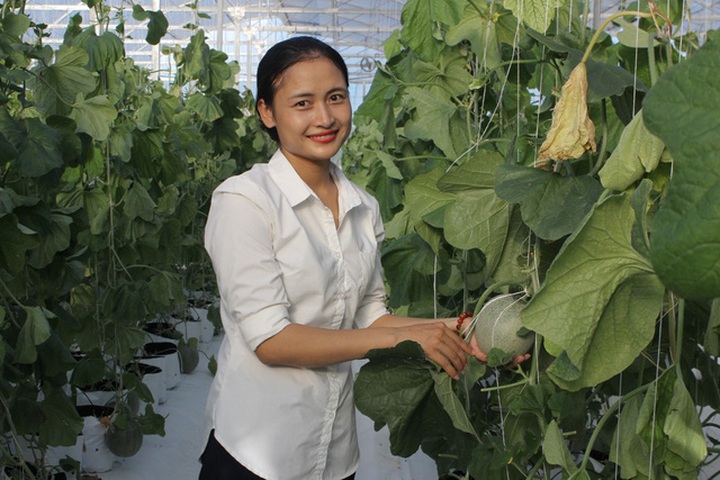 Chị Lê Thị Thắm tổ trưởng tổ hợp tác trồng nấm, hoa, dược liệu thôn Hương Mỹ, xã Xuân Mỹ, huyện Nghi Xuân