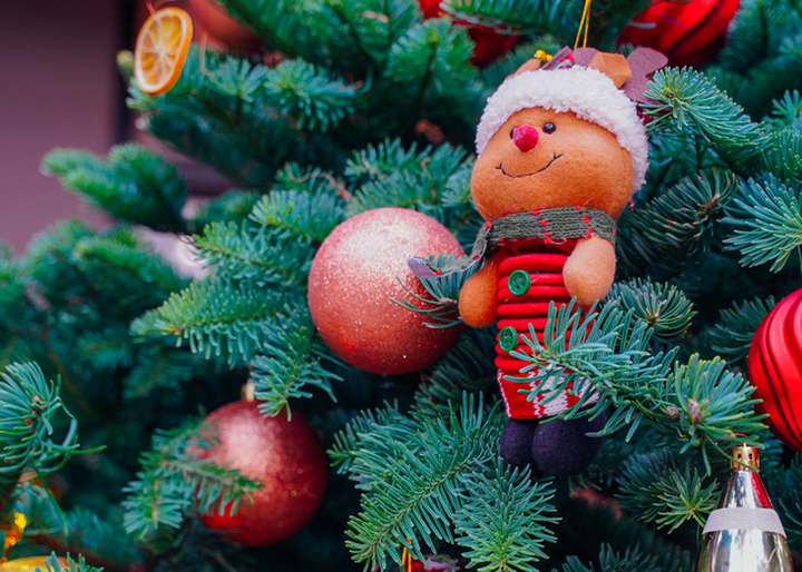 Thông Mỹ đi máy bay, vừa về Việt Nam đã cháy hàng - 3