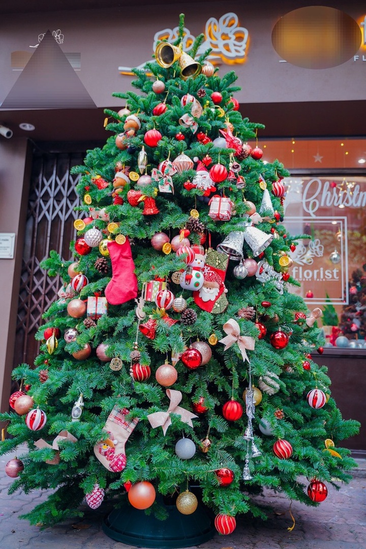 Thông Mỹ đi máy bay, vừa về Việt Nam đã cháy hàng - 4