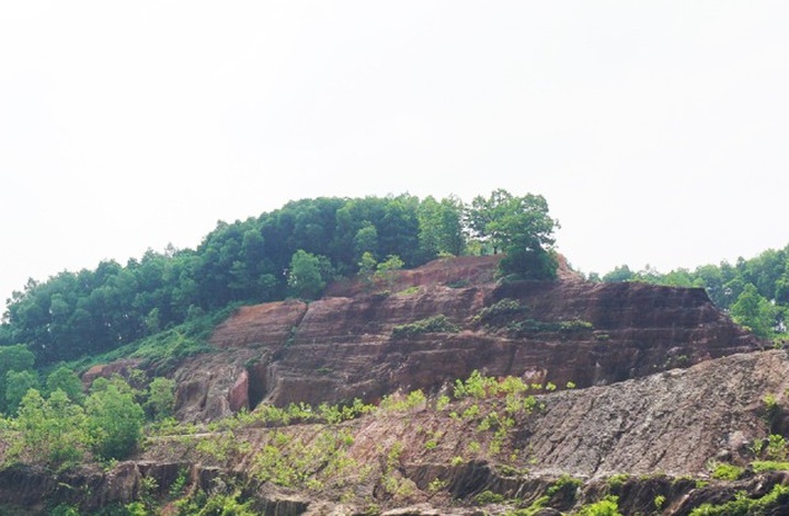 Những vạt rừng đang dần phủ xanh đồi Tỷ - nơi xảy ra những trận huyết đấu giữa các băng nhóm xã hội cát cứ tranh giành lãnh địa đá đỏ, nơi xảy ra những vụ sập hầm chôn vùi hơn 70 sinh mạng phu đá.