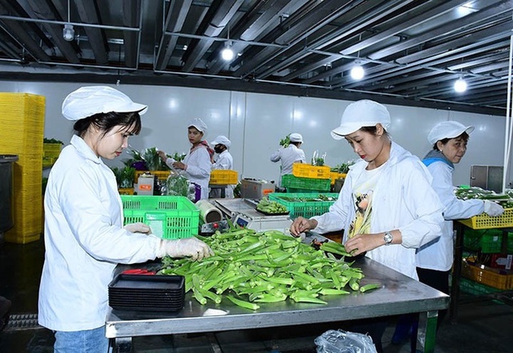 Thủ tướng chỉ đạo tỉnh Bình Dương tạm dừng thanh tra công ty Vinamit - 1