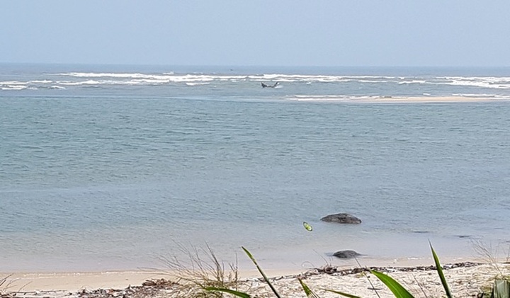 Thừa Thiên Huế thu hồi nhiều dự án thuộc danh mục giám sát đặc biệt - 1