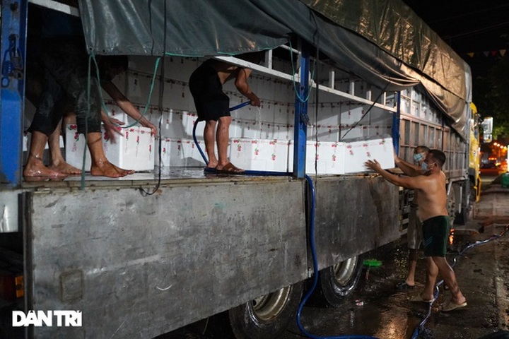 Tiền công 700 nghìn đồng/tấn, cửu vạn xuyên đêm bốc xếp vải thiều xuất khẩu - 5