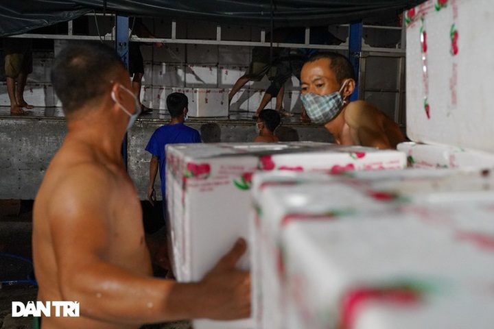 Tiền công 700 nghìn đồng/tấn, cửu vạn xuyên đêm bốc xếp vải thiều xuất khẩu - 7