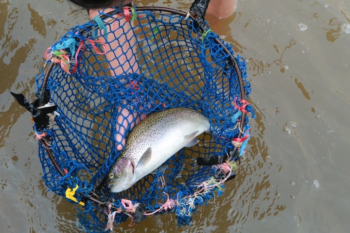 Tiểu thương “kêu trời” vì cá hồi Sa Pa trượt giá - 10