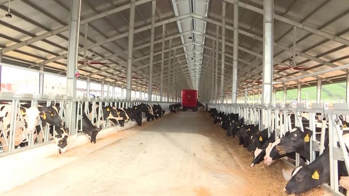 Tỉnh Quảng Ngãi sẽ “xử lý” nếu dự án Vinamilk chậm tiến độ - 1