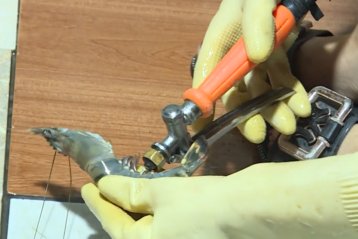 Tôm bơm thạch agar nguy hiểm với sức khỏe: Làm sao để nhận diện? - 1