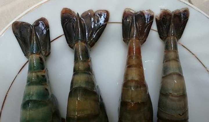 Tôm bơm thạch agar nguy hiểm với sức khỏe: Làm sao để nhận diện? - 4