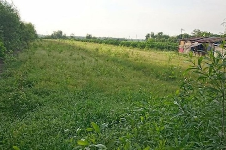 TPHCM đề nghị chuyển hơn 300ha đất nông nghiệp thành khu đô thị sinh thái - 1