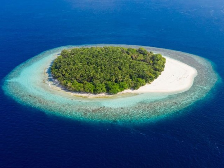 Triệu phú bỏ trăm ngàn USD để “hút” người chơi trò sinh tồn trên đảo hoang - 1