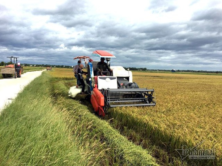 Trung Quốc dựng rào gây khó, thế mạnh Việt Nam năm mới lo lắng - 2
