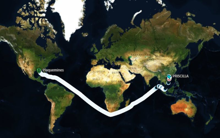 Trung Quốc tắc cảng vì mua quá nhiều ngô - 1