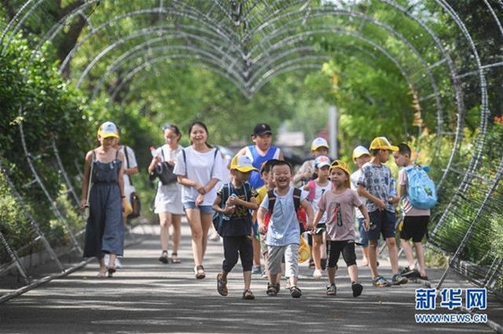 Từ làng nghèo, nay giàu có đổi đời, mỗi người thu nhập hơn 200 triệu đồng/năm - 2