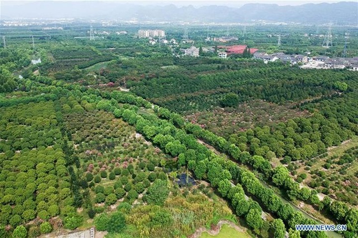 Từ làng nghèo, nay giàu có đổi đời, mỗi người thu nhập hơn 200 triệu đồng/năm - 13