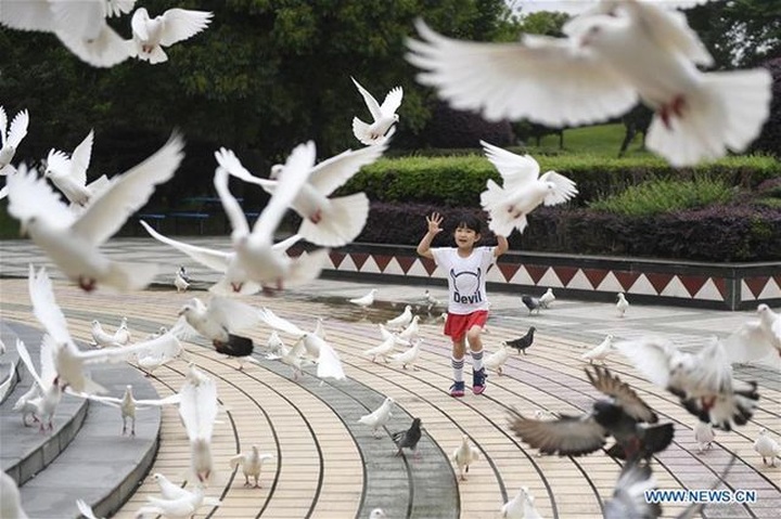 Từ làng nghèo, nay giàu có đổi đời, mỗi người thu nhập hơn 200 triệu đồng/năm - 6