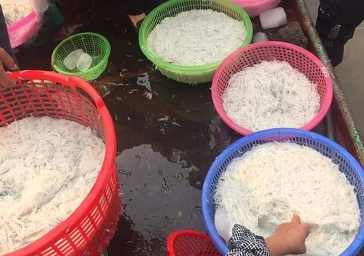 Vạn chai nước siêu rẻ ngày nắng nóng; cây hoa hồng trả 150 triệu đồng chưa gật đầu - 6