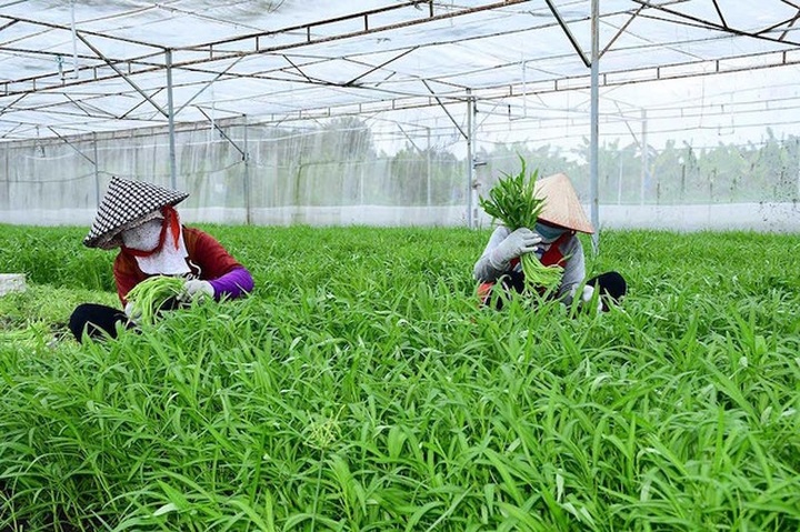 Vì sao Bình Dương bị Thủ tướng lệnh tạm dừng thanh tra Vinamit? - 1