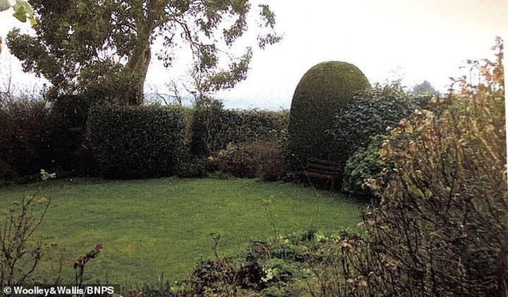 Viên đá kê chân bất ngờ có giá 470 triệu đồng - 2