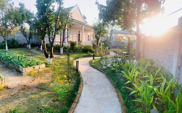 Vợ chồng trốn dịch về ngoại ô uống trà, ngắm hoa trong biệt thự đẹp mê - 1