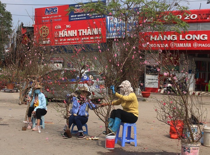 Vỡ mộng làm giàu ngày Tết: Dân buôn thời vụ lỗ nặng, méo mặt với hàng tồn - 1