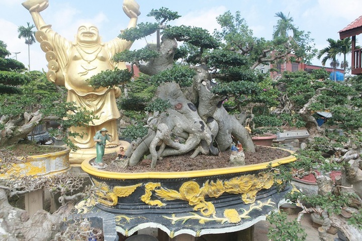 Xâm nhập vườn duối cổ trăm tuổi giá triệu đô của đại gia Hải Dương - 7