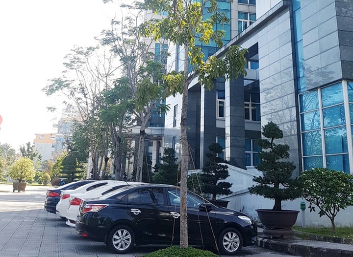 Xử phạt người làm rò rỉ ảnh chụp văn bản dự thảo cấm chợ - 4