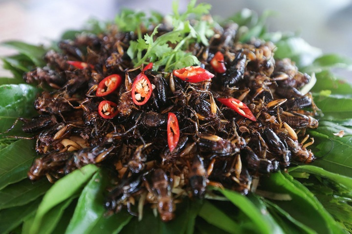 Món dế chiên dòn rất nổi tiếng của nhà anh Tùng.