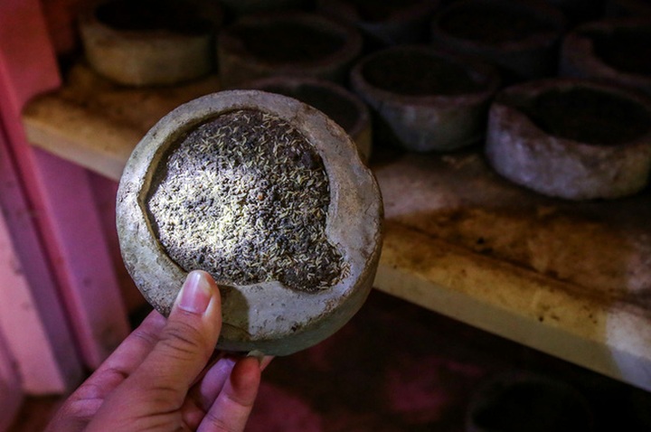 Trang trại được chia thành các khu vực dành như chỗ nuôi dế con, dế trưởng thành.