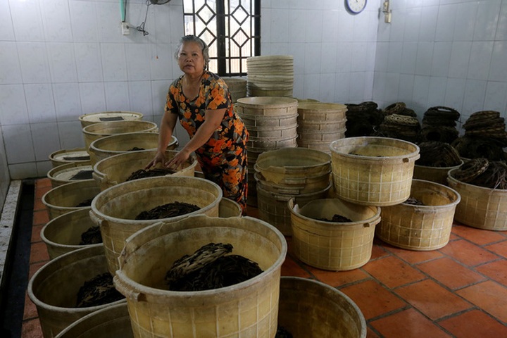 Mỗi ngày, anh Tùng mang giao cho các nhà hàng khoảng 10kg dế thịt.