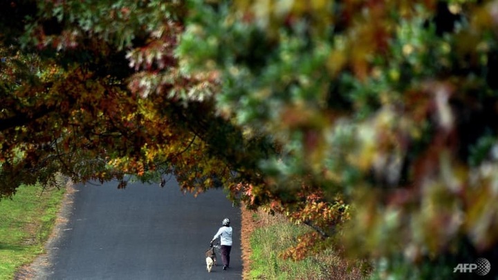 Australia landslide kills two British tourists - 1 Australia landslide kills two British tourists - 1