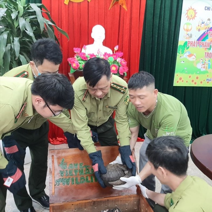 Ninh Binh national park receives more rare animals - 1