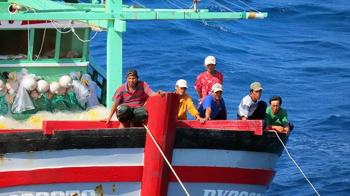 Quang Nam fishermen struggle due to Covid-19 pandemic - 1