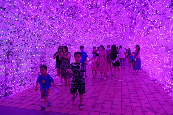 Danang park decorated to celebrate Japan relations - 5