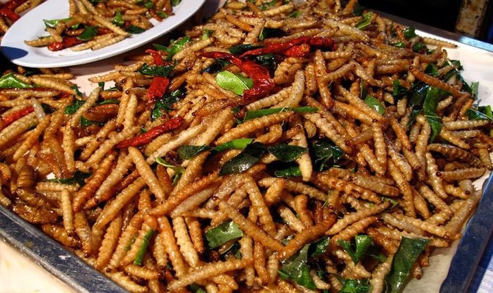 Vietnam authorised to export insect-based food to EU - 1