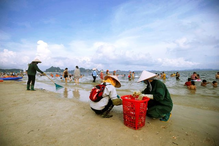 Sanitation workers battle rubbish in Ha Long Bay - 2