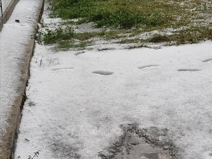 Hail damages large vegetable area in Lai Chau - 1