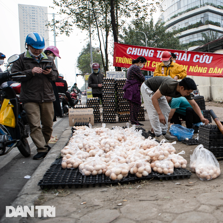 Vietnam needs radical solutions to protect value of agricultural products, “rescues” don’t help - 1