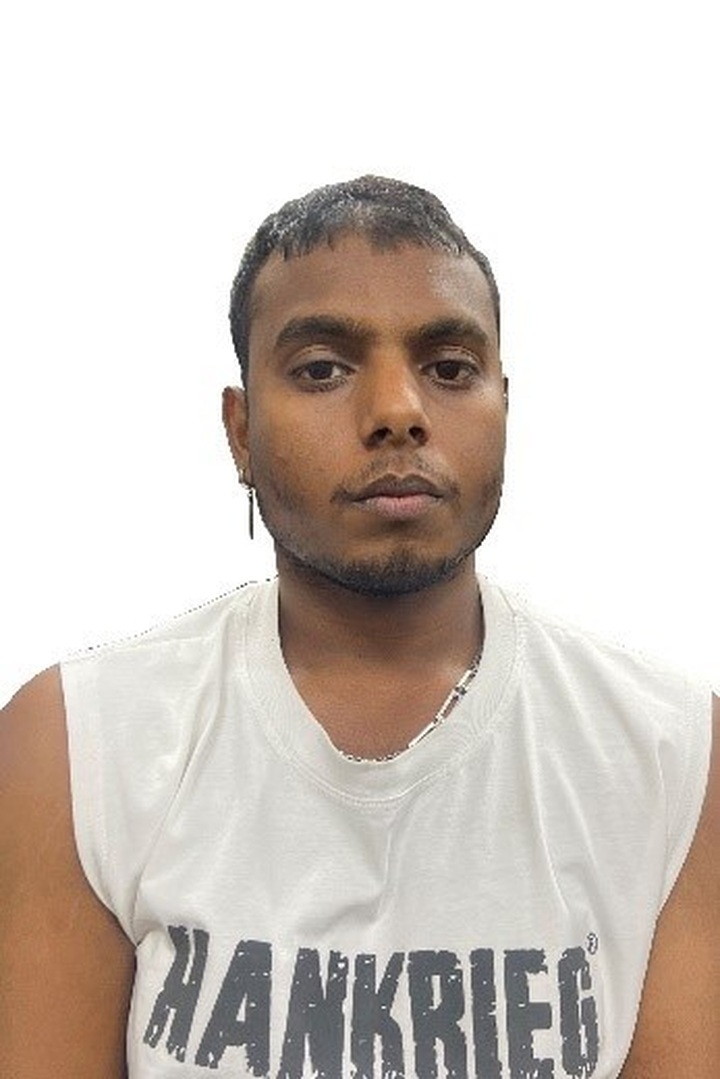 Indian man charged in deadly Ha Long traffic accident - 1