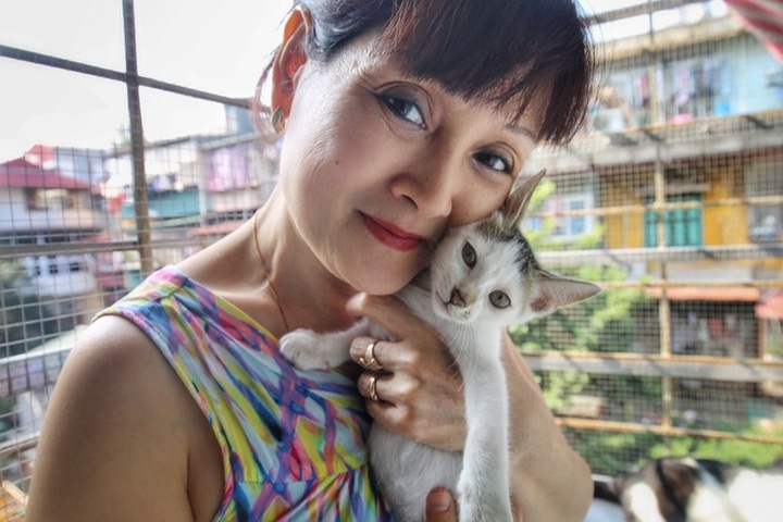 Hanoi woman offers home to abandoned cats - 1