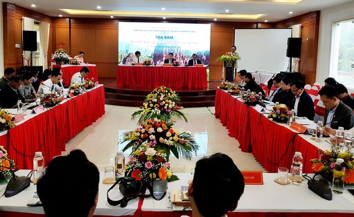 More services expected to bring more tourists to My Son Sanctuary - 1