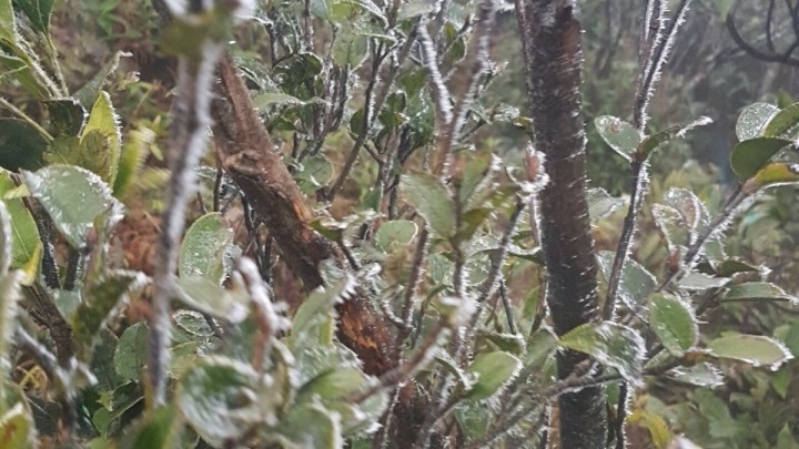 Northern mountain gets frosty in new cold spell - 1