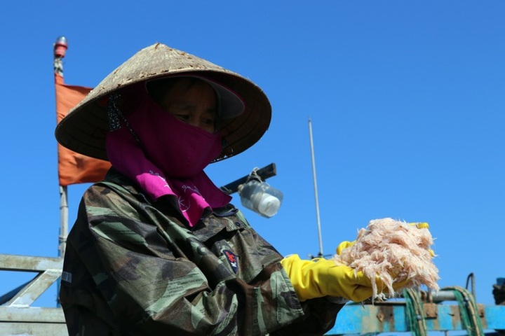 Fishermen in Phu Yen enjoy big catches after Tet - 2