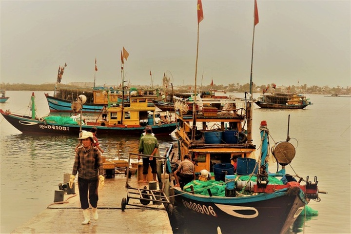 Quang Nam fishing port bustling with activities - 1 Quang Nam fishing port bustling with activities - 1