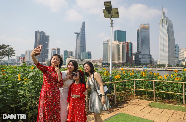 Saigon River Park gets facelift ahead of Tet - 9 Saigon River Park gets facelift ahead of Tet - 9