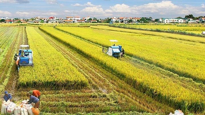 New mindset for Vietnam’s agriculture economy - 1