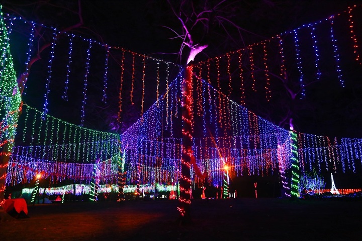 New lighting system installed at Hanoi park - 1 New lighting system installed at Hanoi park - 1