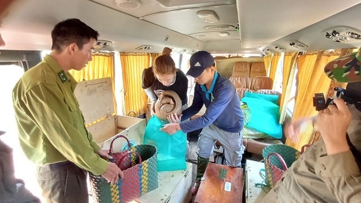 Over 14 rare wild animals released back into nature - 1