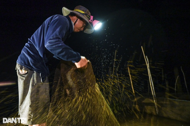 Fish hunting season in Mekong Delta region’s flood season - 1 Fish hunting season in Mekong Delta region’s flood season - 1